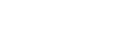 Institute for Political Studies